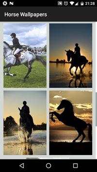Horse Wallpaper HD - Horse Backgrounds screenshot 2