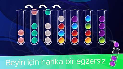 Ball Sort: Topları Sırala screenshot 8