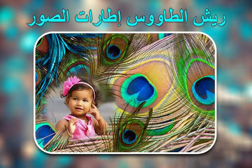 إطارات صور ريش الطاووس 3 تصوير الشاشة