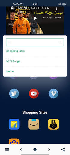 MS Browser screenshot 2