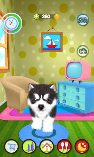 Talking Dog screenshot 7