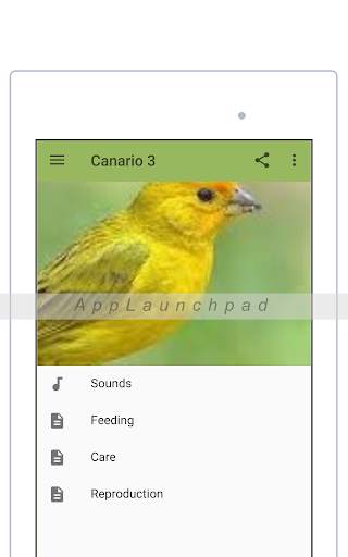 Canary screenshot 6