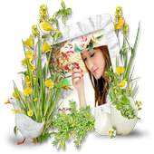 Pics Photo Frame 1.1