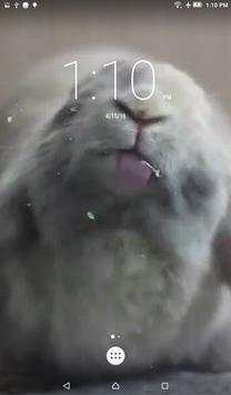 Bunny Licks Screen Wallpaper screenshot 3