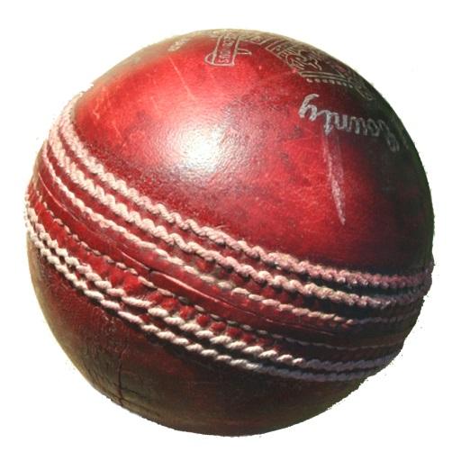 Blind Cricket icon