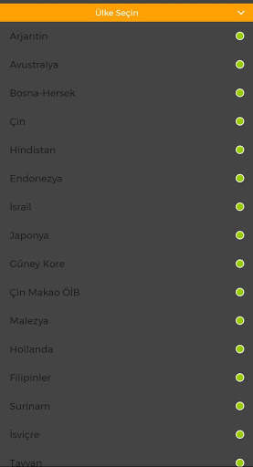 Vpn Pro mega Free screenshot 3