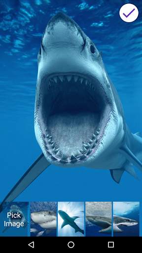 Great White Sharks Slide To Unlock Lock Screen screenshot 6