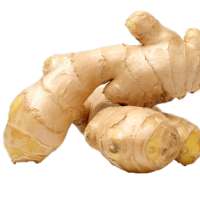 Benefits of Ginger icon