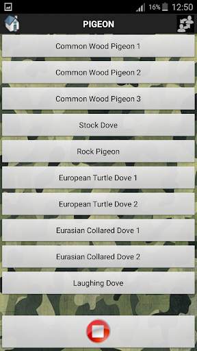 Bird Sound screenshot 4