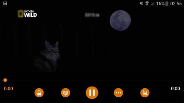 NATGEO WILD.LIVE screenshot 2