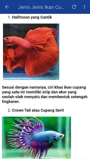 Ikan Hias Cupang screenshot 5