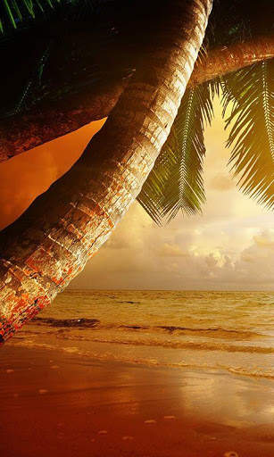 Beach Sunset Live Wallpaper screenshot 5