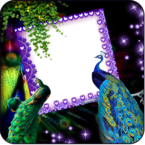 Love Bird Insta Dp Maker icon