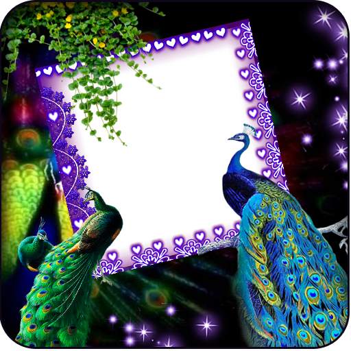 Love Bird Insta Dp Maker 1.0.1