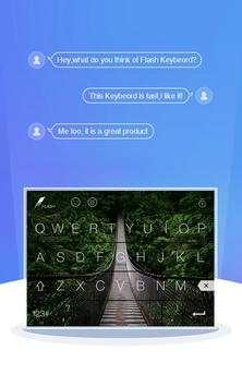 Bridge Skin screenshot 2