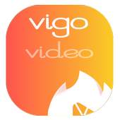 Tips vigo Mate Guide Pro Achile