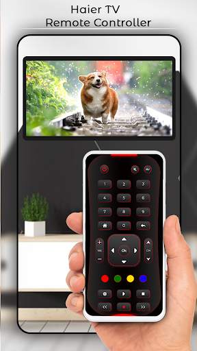 Haier TV Remote Controller 4 تصوير الشاشة