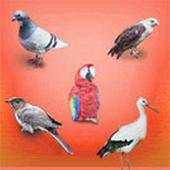 Birds Sounds 1.5