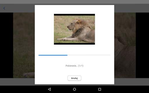 Canon Connect Station screenshot 9