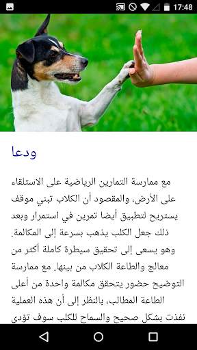 دورة تدريب الكلاب 4 تصوير الشاشة