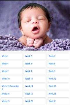 Pregnancy Stages screenshot 12