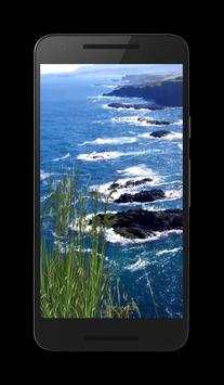 Sea Video Wallpaper screenshot 1