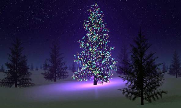 Tree Wallpapers screenshot 2
