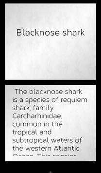 Shark Species: Types of Shark screenshot 8