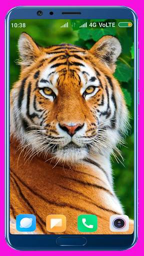 Tiger Wallpaper Best 4K screenshot 1