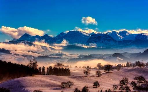 Winter Wallpapers HD (backgrounds & themes) screenshot 8