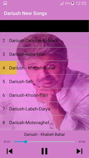 جديد اهنك داريوش بدون نت - Dariush New Music screenshot 2
