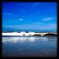 Ocean Waves Live Wallpaper 50 logo