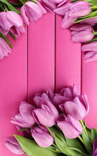 HD Pink Tulips Live Wallpaper screenshot 3