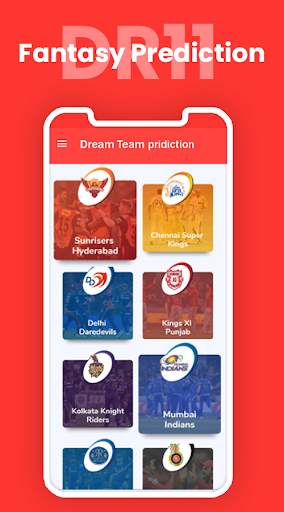 Dream Team 11 Cricket Score screenshot 1