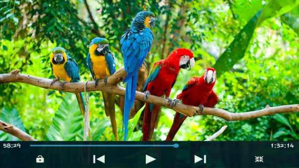 Max player full HD screenshot 1