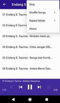 Lagu Endang S Taurina Populer Offline screenshot 3