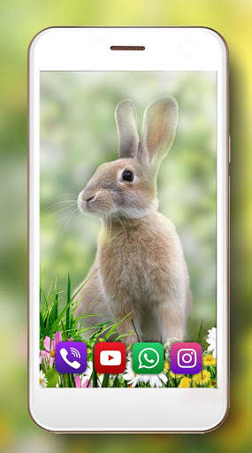 Bunnies Cute Live Wallpaper screenshot 5