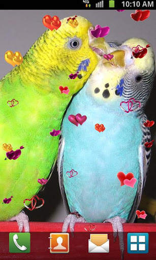 Love Birds Live Wallpaper screenshot 7