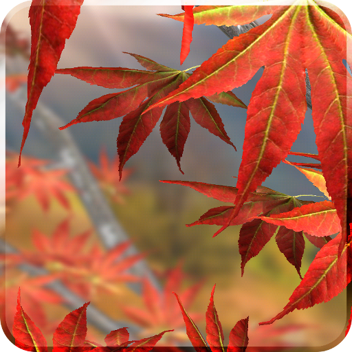 Autumn Tree Live Wallpaper icon