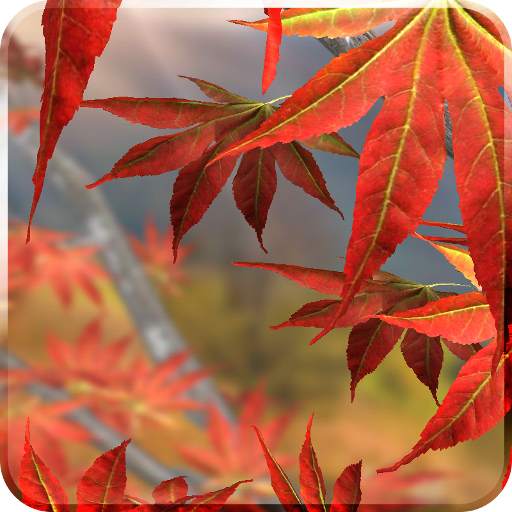 Autumn Tree Free Wallpaper 1.4