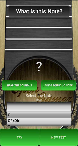 Simulasi Gitar Akustik screenshot 4