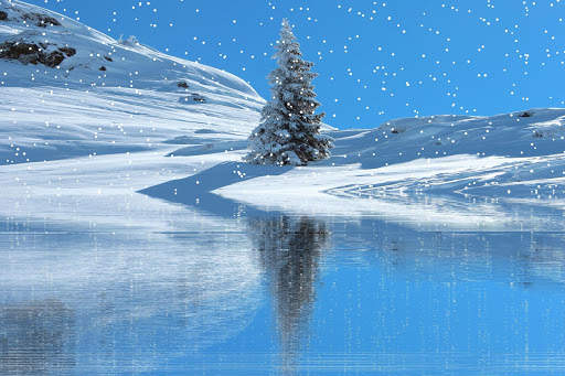 Snow Wallpaper HD : backgrounds & themes screenshot 18