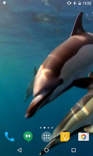 Dolphins Live Wallpaper screenshot 4