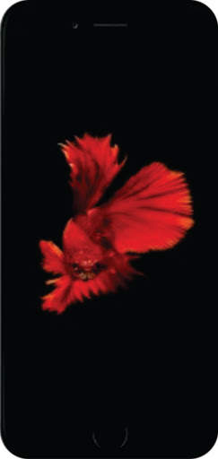 Wallpaper Cantik Ikan Cupang screenshot 3