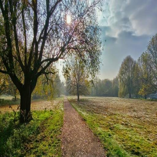 Wallpapers by Arpit Sengar 1.0.1