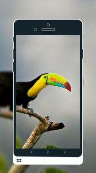 Bird Wallpaper screenshot 1