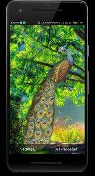 Peacock Live Wallpaper screenshot 4