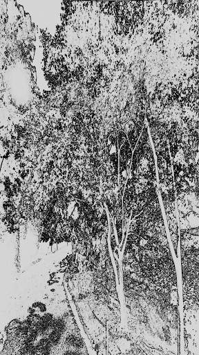 Camera Filter screenshot 21