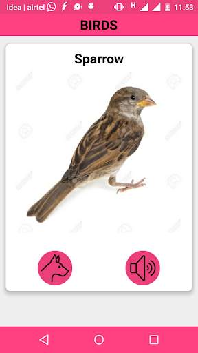 Animals and Birds Sounds screenshot 5