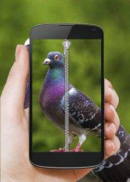 Bird Zip Screen Lock screenshot 1